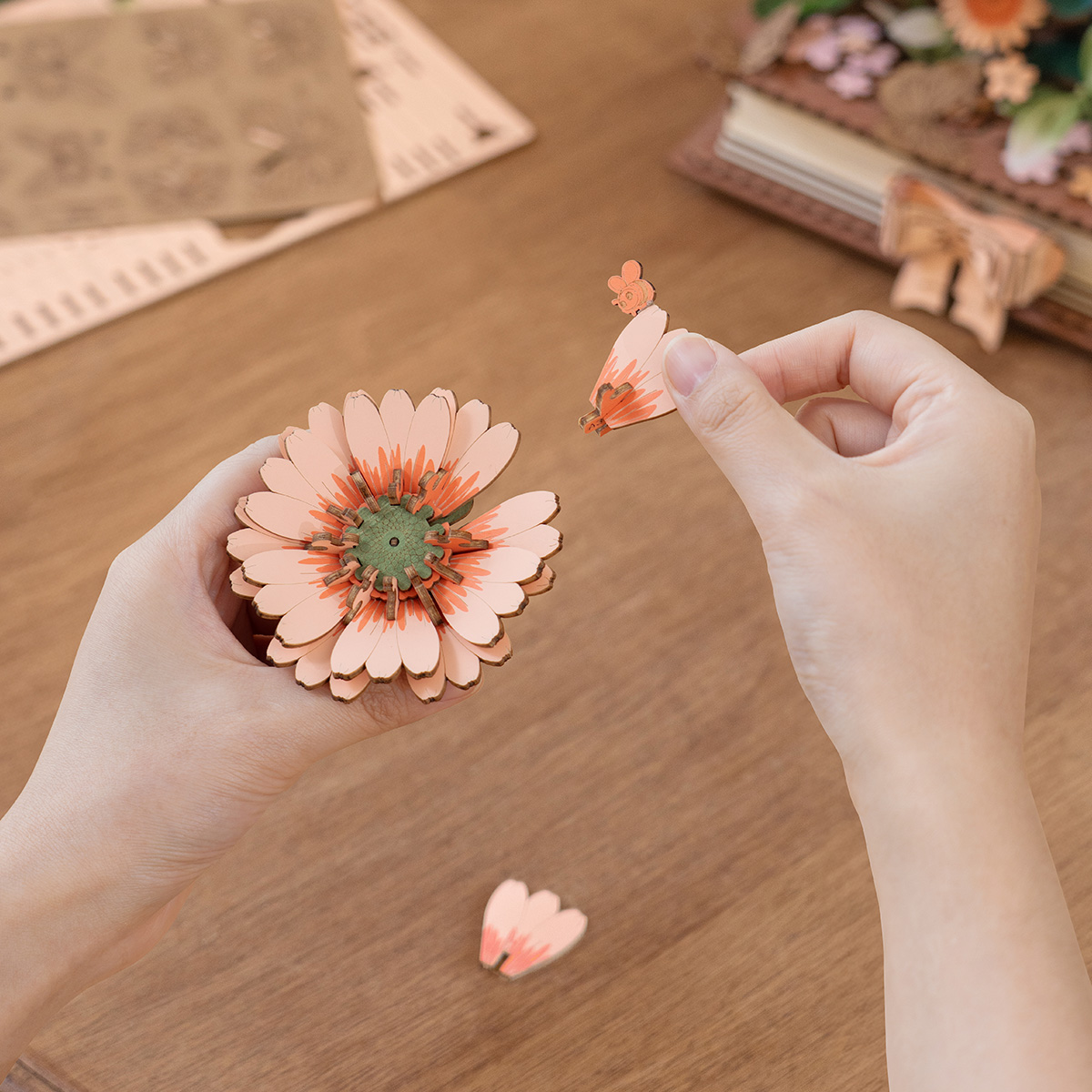Détail en gros plan d'un assemblage de fleurs en couches du livre en bois Blooming TW04H
