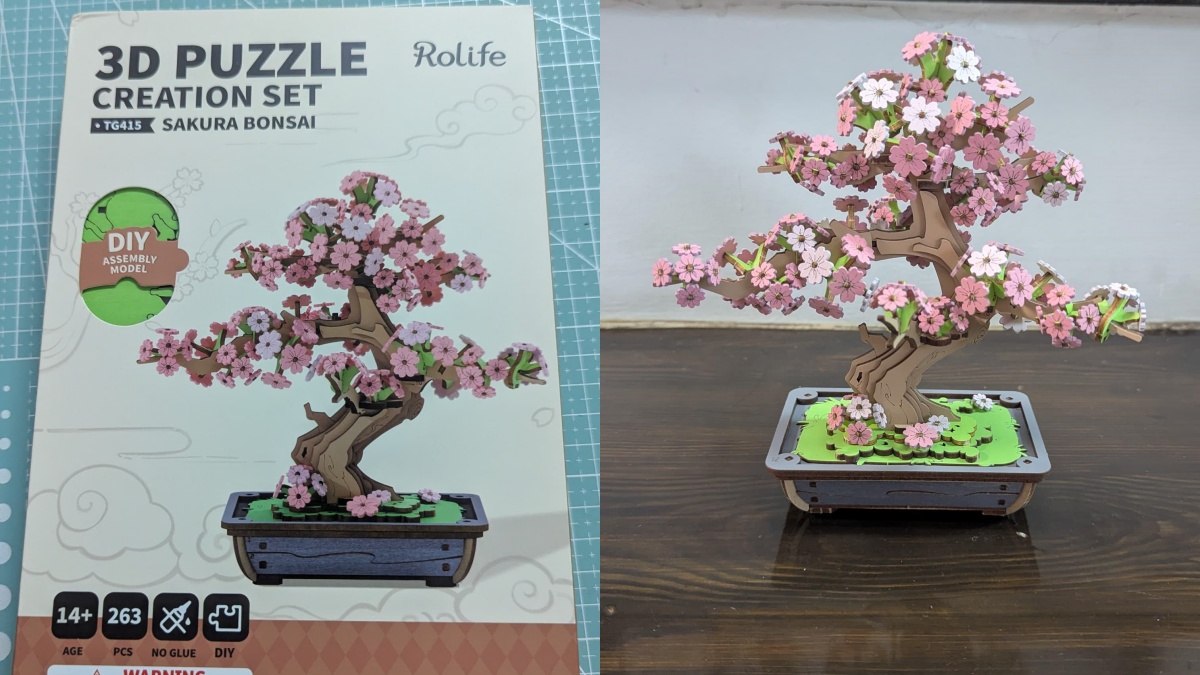 Jill S Journey with The Rolife Sakura Bonsai