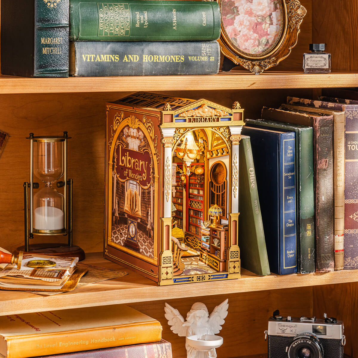 Bibliothek der Wunder TGB16 Regalpräsentationsszene mit warmem Kronleuchterlicht