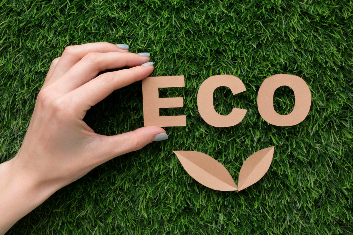 What Is FSC Certification