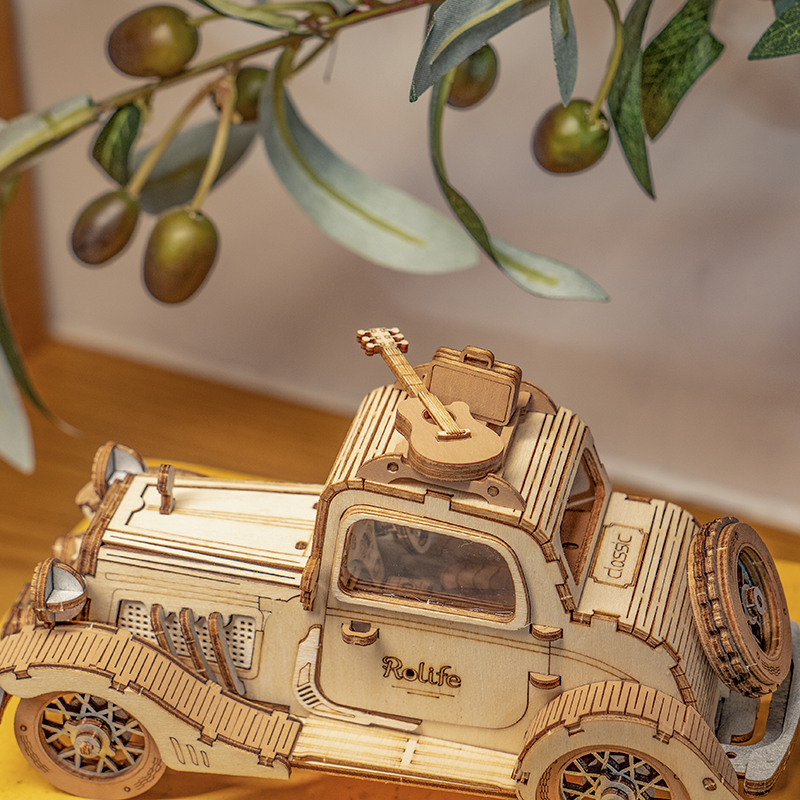 Close-up van de Rolife Vintage Car dakdrager met gitaar en bagage